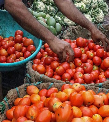 tomato prices